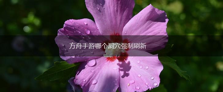 方舟手游哪个洞穴强制刷新,第1张