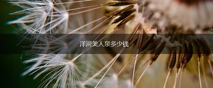 洋河美人泉多少钱,第1张