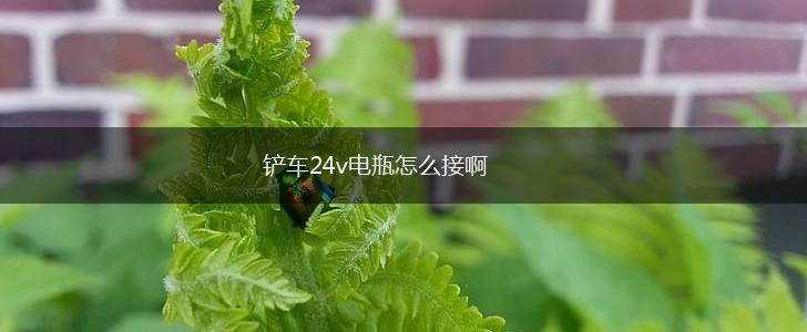 铲车24v电瓶怎么接啊,第1张