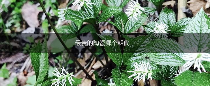 最贵的陶瓷哪个朝代,第1张