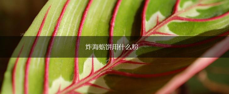 炸海蛎饼用什么粉,第1张