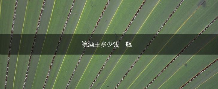 皖酒王多少钱一瓶,第1张