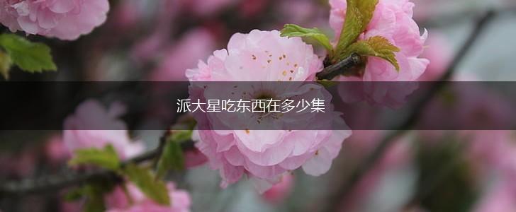 派大星吃东西在多少集,第1张