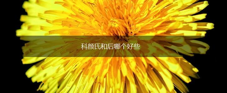 科颜氏和后哪个好些,第1张