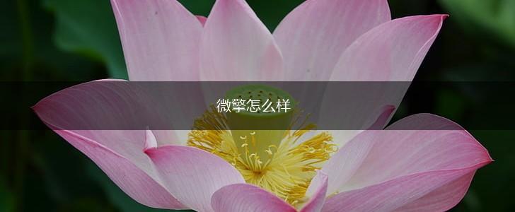 微擎怎么样,第1张