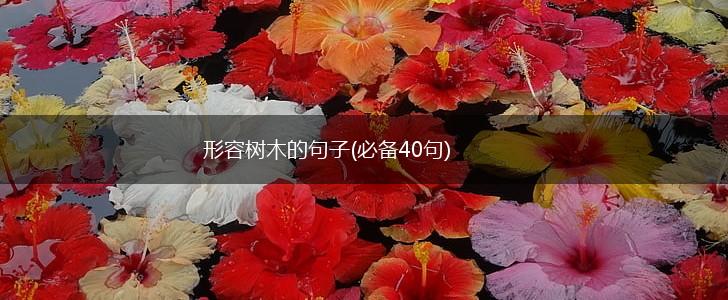 形容树木的句子(必备40句),第1张