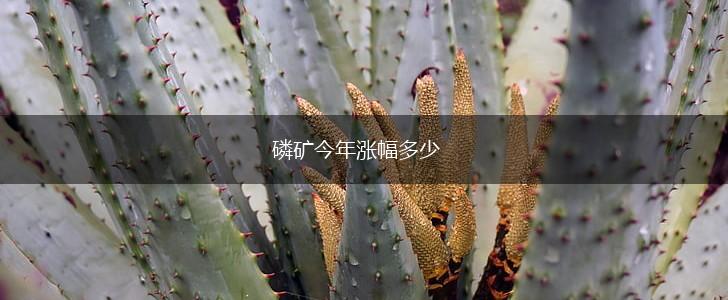 磷矿今年涨幅多少,第1张