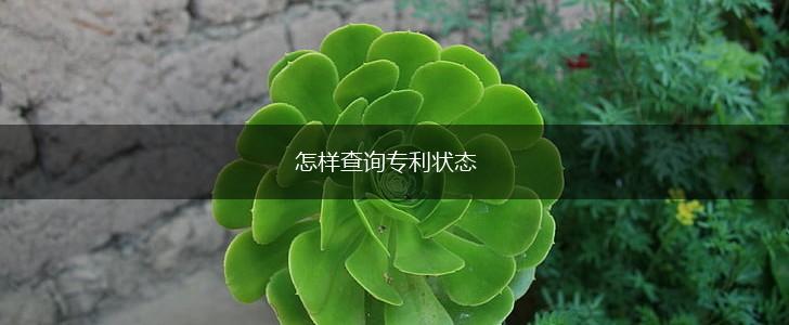 怎样查询专利状态,第1张