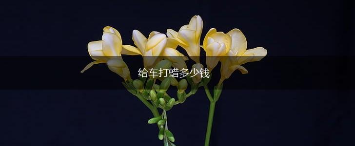 给车打蜡多少钱,第1张