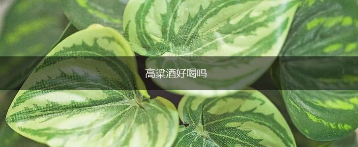 高粱酒好喝吗,第1张