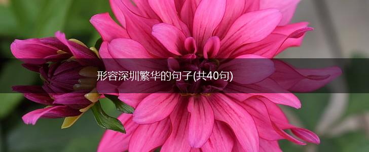 形容深圳繁华的句子(共40句),第1张