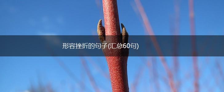 形容挫折的句子(汇总60句),第1张