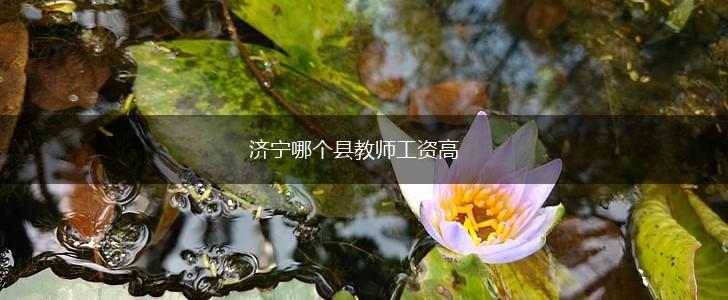 济宁哪个县教师工资高,第1张