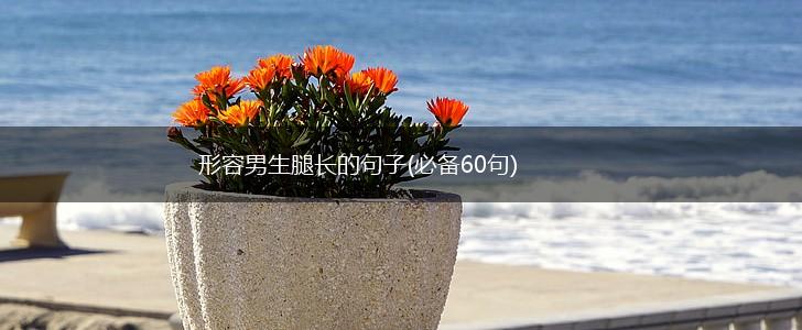 形容男生腿长的句子(必备60句),第1张