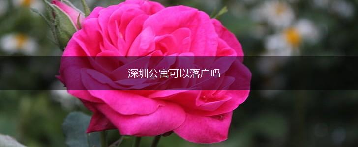 深圳公寓可以落户吗,第1张