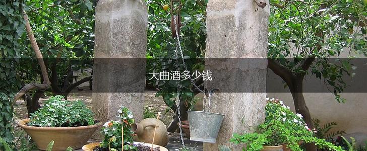 大曲酒多少钱,第1张