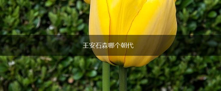 王安石森哪个朝代,第1张