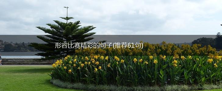 形容比赛精彩的句子(推荐61句),第1张