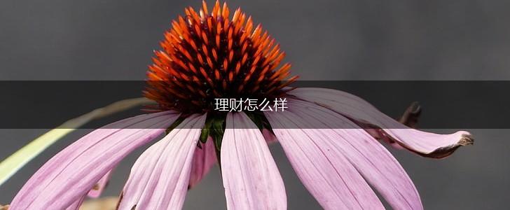 理财怎么样,第1张