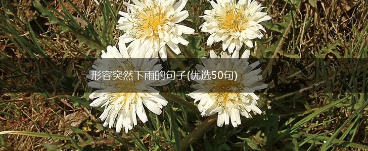 形容突然下雨的句子(优选50句),第1张