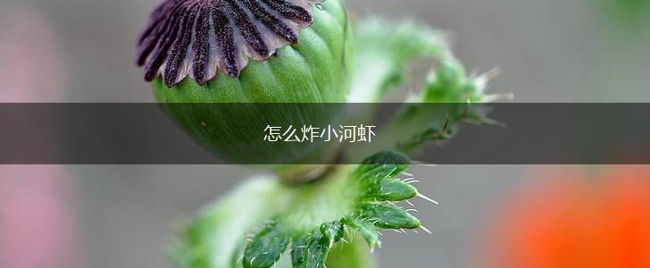 怎么炸小河虾,第1张