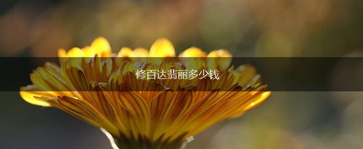 修百达翡丽多少钱,第1张