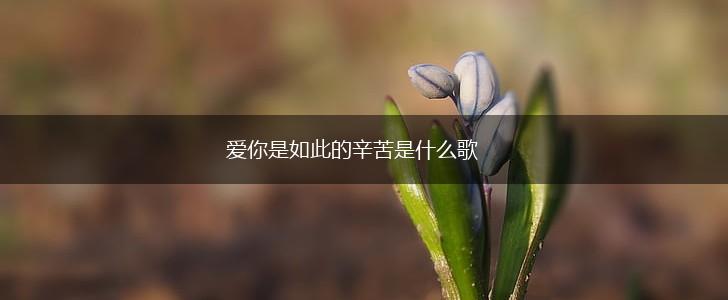 爱你是如此的辛苦是什么歌,第1张