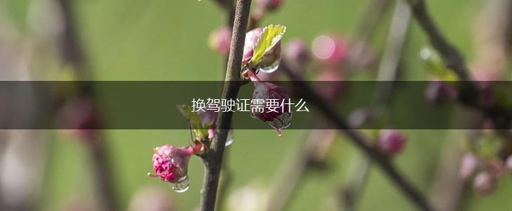 换驾驶证需要什么,第1张