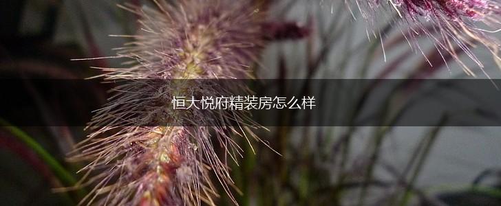 恒大悦府精装房怎么样,第1张