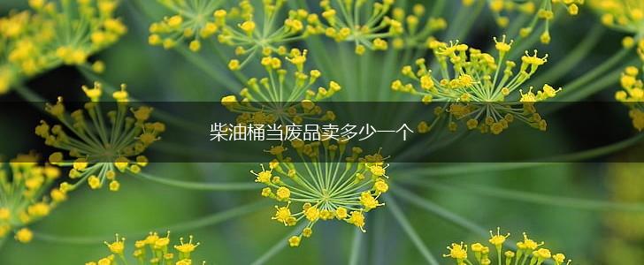 柴油桶当废品卖多少一个,第1张