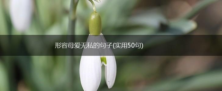 形容母爱无私的句子(实用50句),第1张