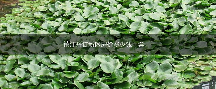 镇江丹徒新区房价多少钱一套,第1张