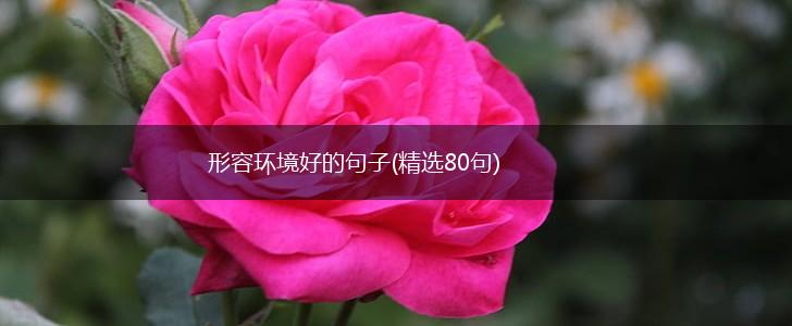 形容环境好的句子(精选80句),第1张