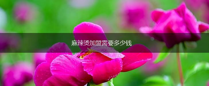 麻辣烫加盟需要多少钱,第1张