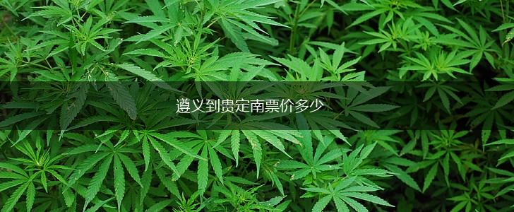 遵义到贵定南票价多少,第1张