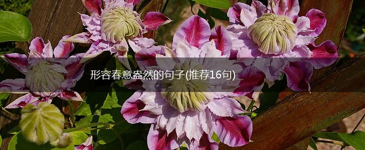 形容春意盎然的句子(推荐16句),第1张
