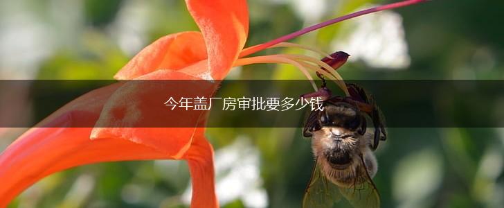 今年盖厂房审批要多少钱,第1张