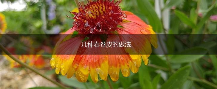 几种春卷皮的做法,第1张