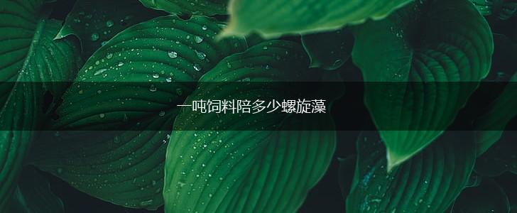 一吨饲料陪多少螺旋藻,第1张