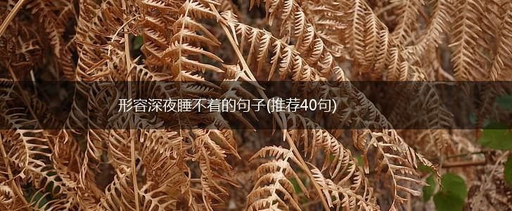 形容深夜睡不着的句子(推荐40句),第1张