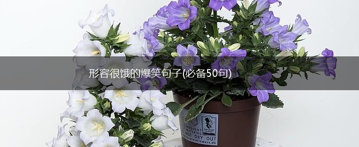 形容很饿的爆笑句子(必备50句),第1张
