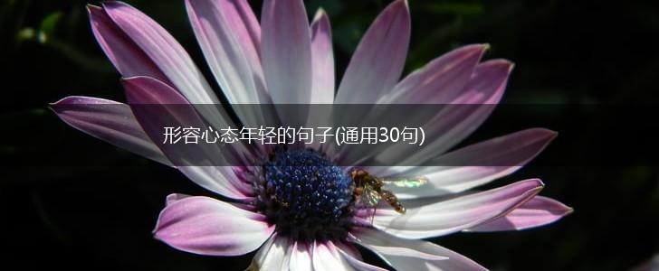 形容心态年轻的句子(通用30句),第1张