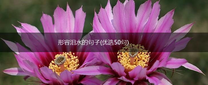 形容泪水的句子(优选50句),第1张