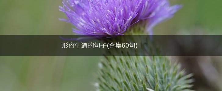 形容牛逼的句子(合集60句),第1张