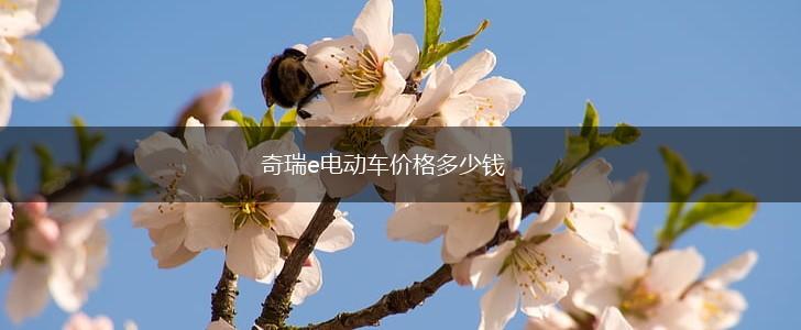 奇瑞e电动车价格多少钱,第1张