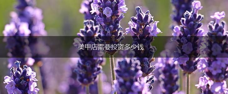美甲店需要投资多少钱,第1张