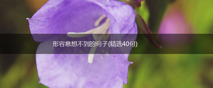 形容意想不到的句子(精选40句),第1张