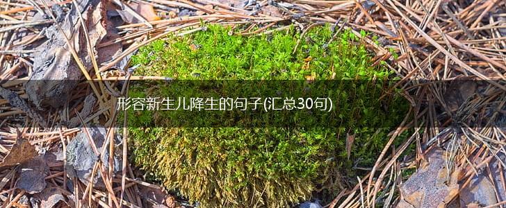 形容新生儿降生的句子(汇总30句),第1张