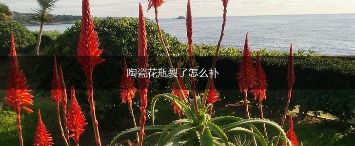 陶瓷花瓶裂了怎么补,第1张