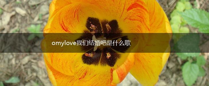 omylove我们结婚吧是什么歌,第1张